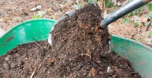 Organic Waste Composter Curing