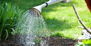 Organic Waste Composter Watering and Pocking